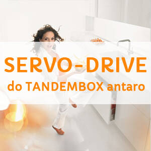 Wyposażenie SERVO-DRIVE dla ANTARO