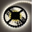 Taśma #6 300 LED SNAKE Premium 2835 bez żelu IP20